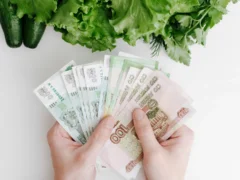 Как получить региональную субсидию: три истории обычных людей