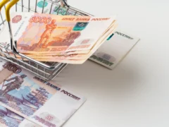 Субсидии на обучение: можно ли получить деньги на курсы, чтобы не разориться